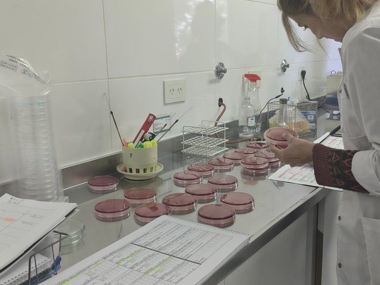  El Laboratorio Provincial de Salud Ambiental procesa más de 10 mil muestras al año y se posiciona como centro de referencia en la Patagonia Sur
