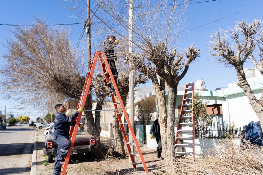  El Municipio continúa con el mantenimiento integral de espacios verdes en distintos sectores de la ciudad