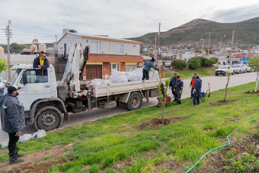  Comodoro fortalece el arbolado urbano con nuevas plantaciones y sistemas de riego por goteo