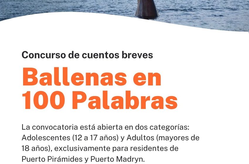  Chubut lanzó el concurso de cuentos breves “Ballenas en 100 palabras”