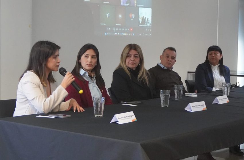  El Gobierno del Chubut presentó una capacitación sobre Salud Mental