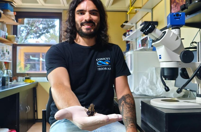  Chubut garantiza la continuidad de cuatro proyectos de investigación científica