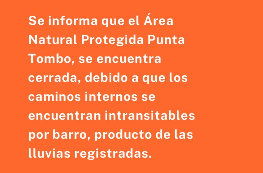  Por las lluvias, cerraron el acceso a Punta Tombo y restringieron el tránsito hacia Punta Loma